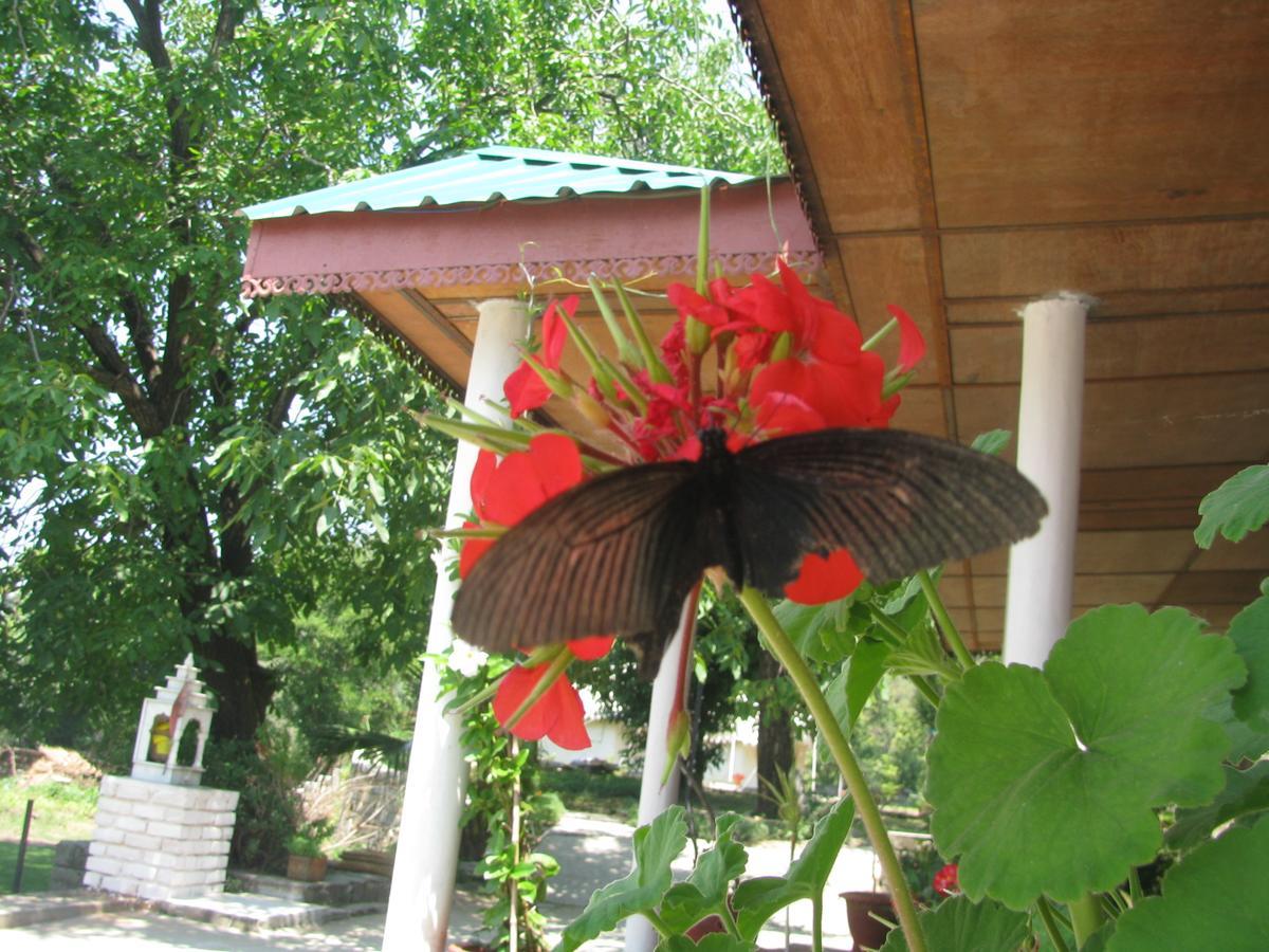 Tatva Bir Tents And Hotel Kangar Exteriér fotografie