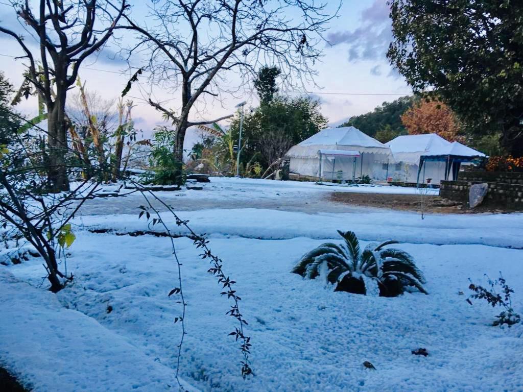 Tatva Bir Tents And Hotel Kangar Exteriér fotografie